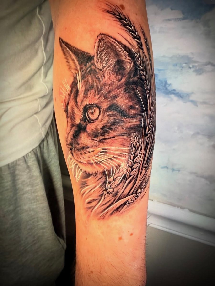 Portrait of a cat with wheat stalks on the forearm, black and grey realism tattoo by Brendon at Diamond Mind Tattoo, Buzzards Bay