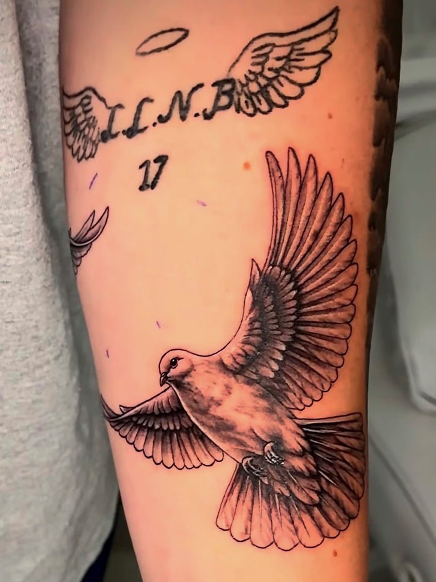 Dove in flight with wings spread on the forearm, black and grey realism tattoo by Brendon at Diamond Mind Tattoo, Buzzards Bay