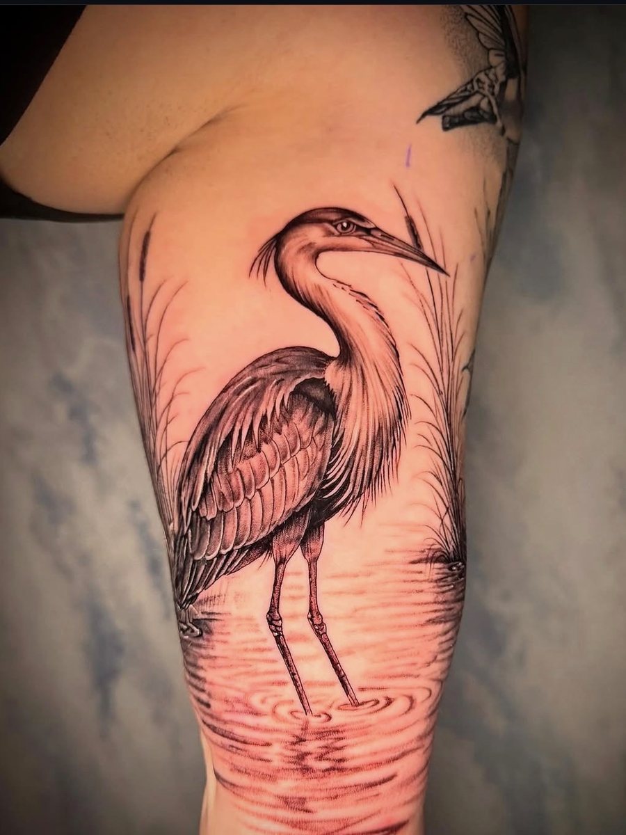 Heron standing in water among reeds on the back of the upper arm, black and grey realism tattoo by Brendon at Diamond Mind Tattoo, Buzzards Bay
