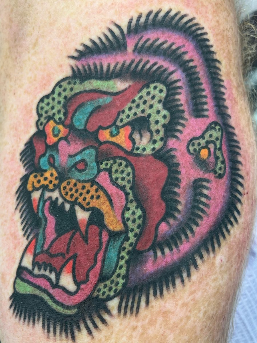 Snarling gorilla head in pink, green, orange and teal with polka-dot shading on the arm, American Traditional tattoo by Chris at Diamond Mind Tattoo, Buzzards Bay