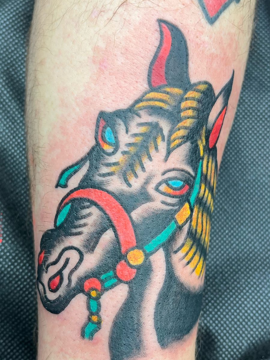Horse head with a red and teal bridle on the forearm, American Traditional tattoo by Chris at Diamond Mind Tattoo, Buzzards Bay